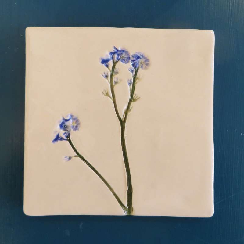 Forget-me-not Coaster
